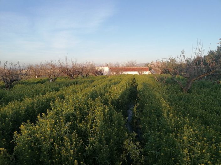 Image No.25-3 Bed Property for sale