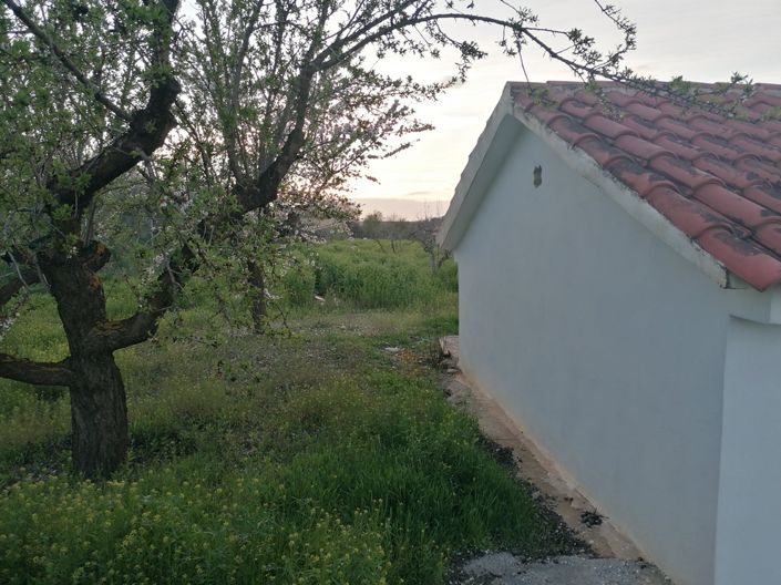 Image No.5-Propriété de 3 chambres à vendre à Baza