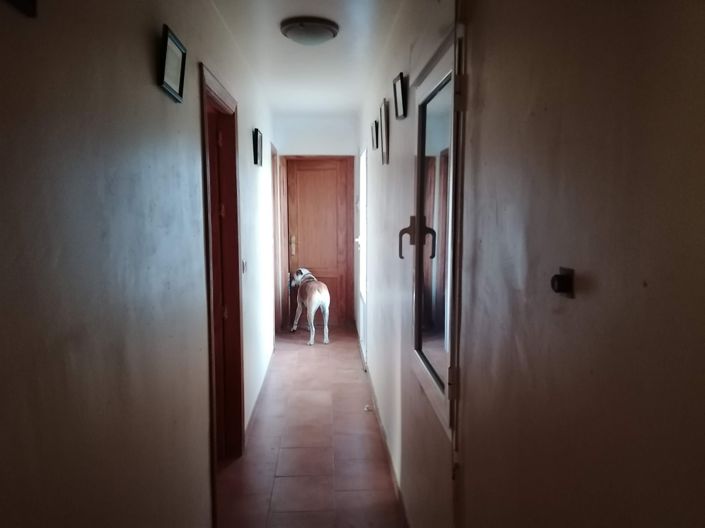 Image No.9-Propriété de 3 chambres à vendre à Baza