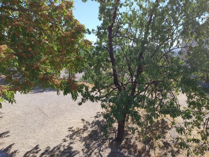 Image No.33-6 Bed Property for sale