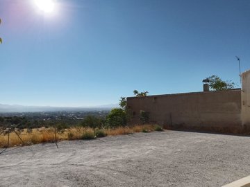 v3102249
