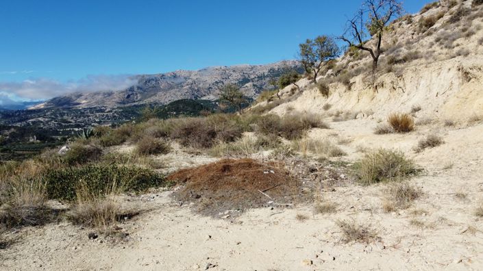 Image No.43-Cortijo de 3 chambres à vendre à Castril