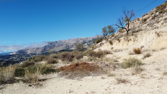 Image No.44-Cortijo de 3 chambres à vendre à Castril