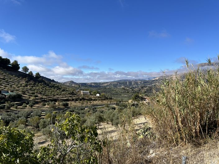 Image No.45-Cortijo de 3 chambres à vendre à Castril
