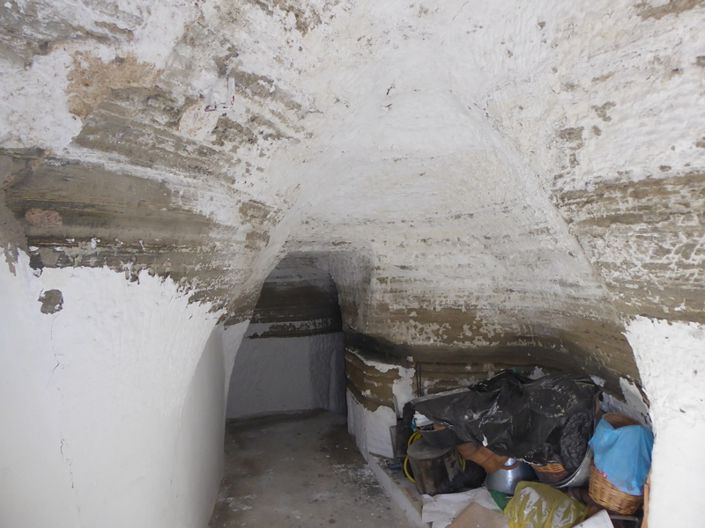 Image No.25-4 Bed House for sale