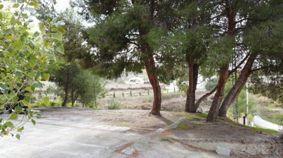 Rusticom most sold property