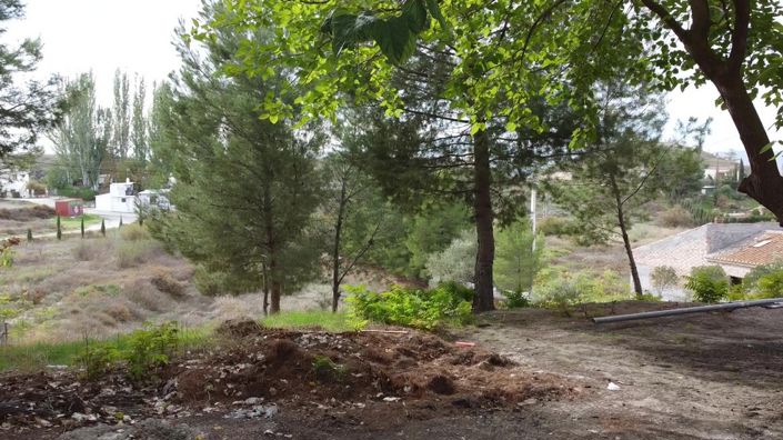 Image No.29-4 Bed House for sale