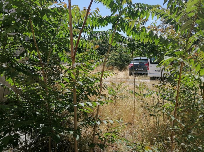 Image No.25-Cortijo de 4 chambres à vendre à La Alquería