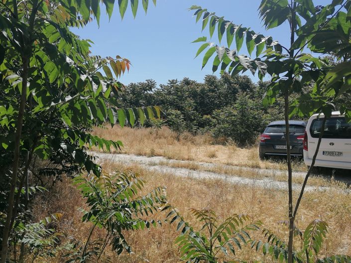 Image No.26-Cortijo de 4 chambres à vendre à La Alquería