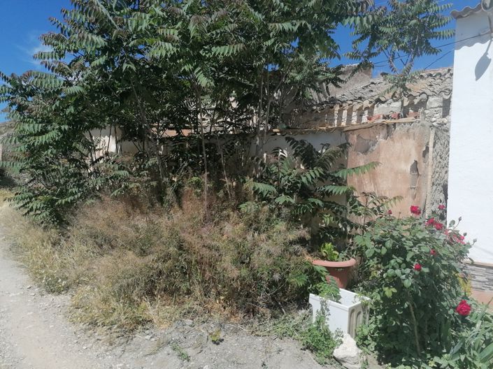 Image No.4-Cortijo de 4 chambres à vendre à La Alquería