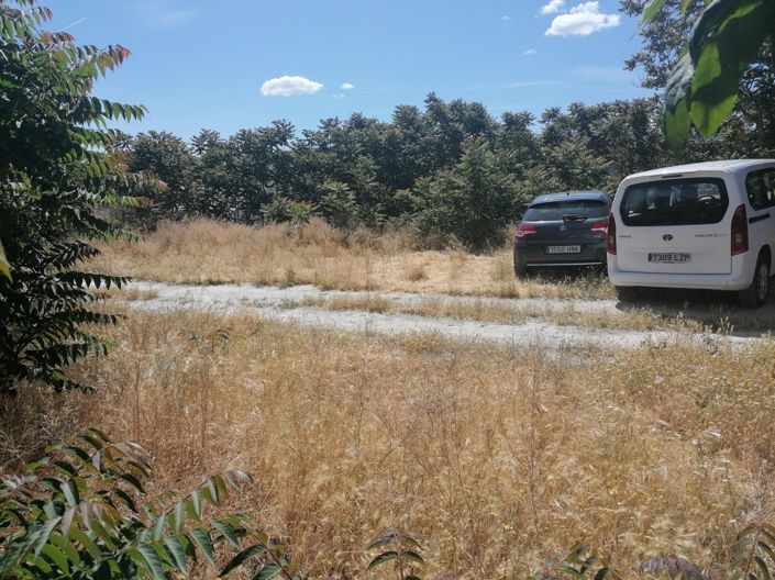 Image No.31-Cortijo de 4 chambres à vendre à La Alquería