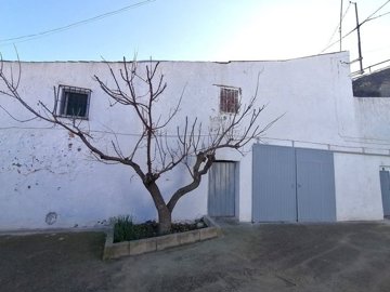 v3133253
