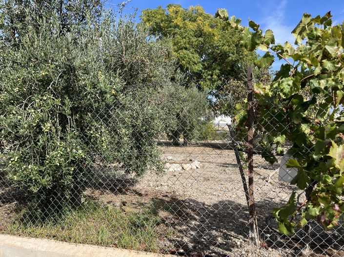 Image No.30-Cortijo à vendre à Cortes de Baza