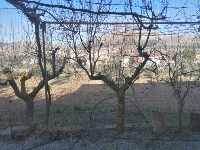 Image No.37-8 Bed Cortijo for sale