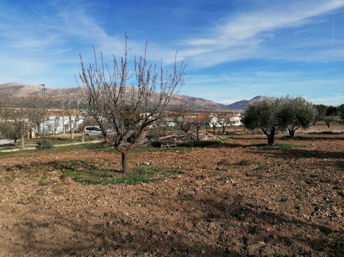 Image No.39-8 Bed Cortijo for sale