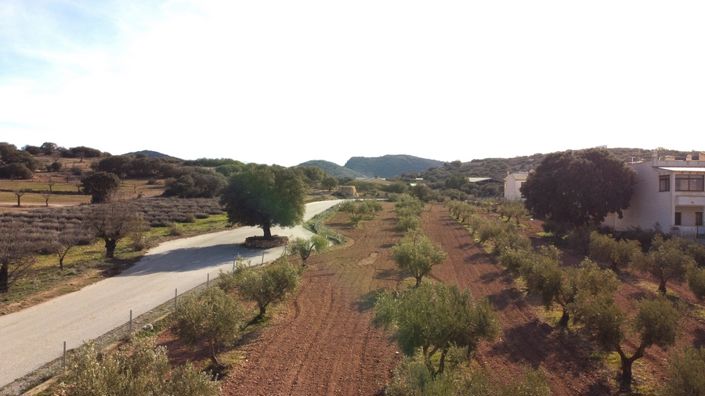 Image No.7-8 Bed Cortijo for sale