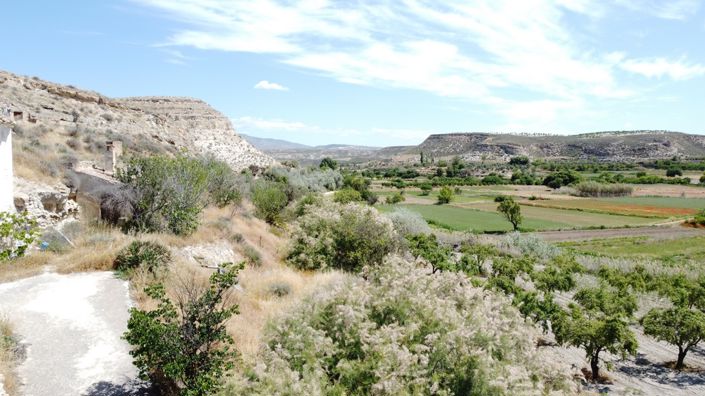 Image No.12-6 Bed Cortijo for sale