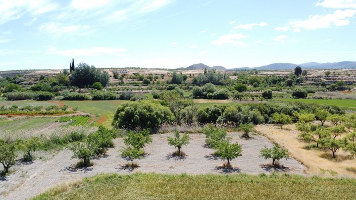Image No.13-6 Bed Cortijo for sale