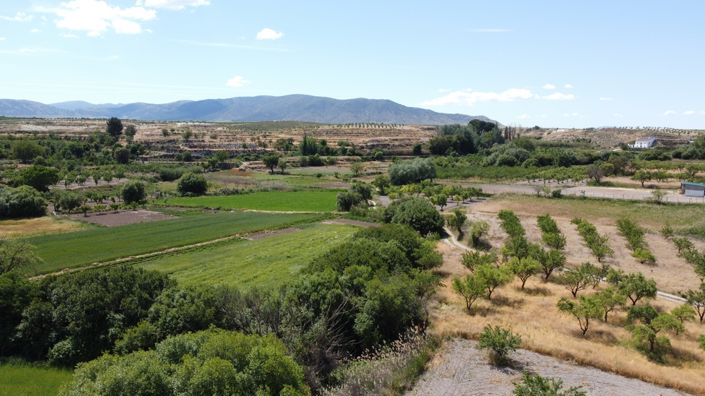 Image No.3-6 Bed Cortijo for sale