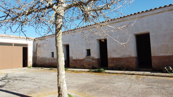 Image No.35-Propriété de 5 chambres à vendre à Costa Tropical