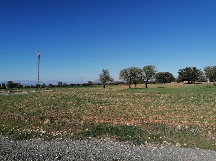 Image No.45-Propriété de 5 chambres à vendre à Costa Tropical