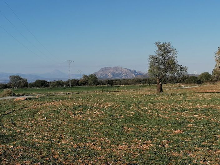 Image No.46-5 Bed Property for sale