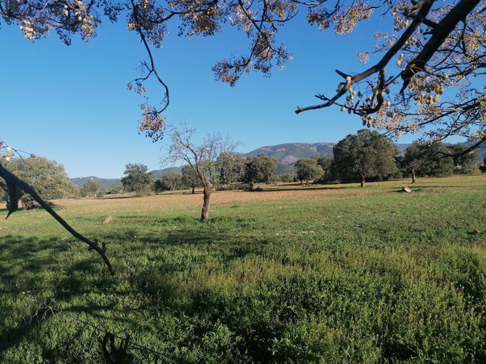 Image No.51-Propriété de 5 chambres à vendre à Costa Tropical