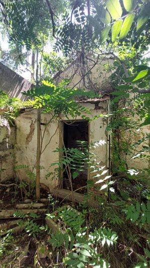 Image No.28-Commercial for sale