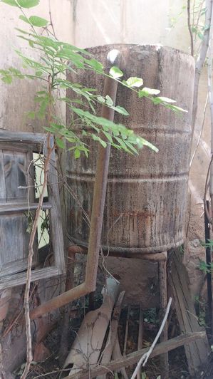 Image No.31-Commercial for sale