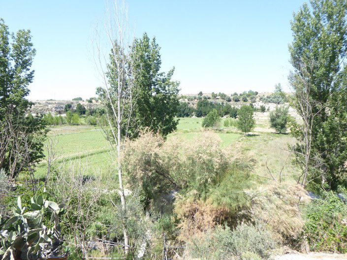 Image No.5-2 Bed House for sale