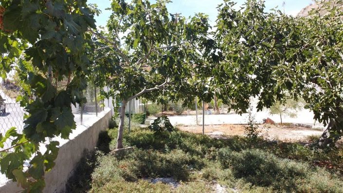 Image No.26-4 Bed House for sale