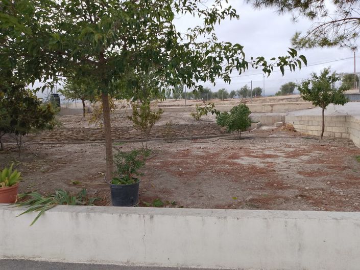 Image No.12-Propriété de 5 chambres à vendre à Baza