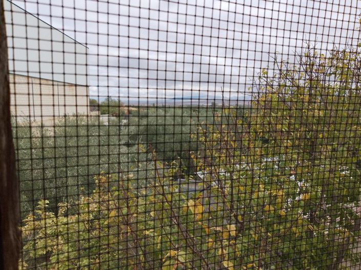 Image No.36-Propriété de 5 chambres à vendre à Baza