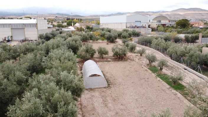 Image No.5-Propriété de 5 chambres à vendre à Baza