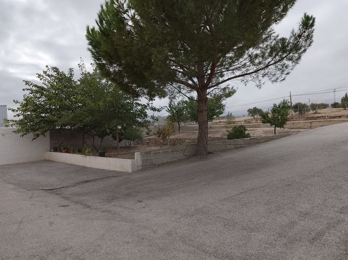 Image No.44-Propriété de 5 chambres à vendre à Baza