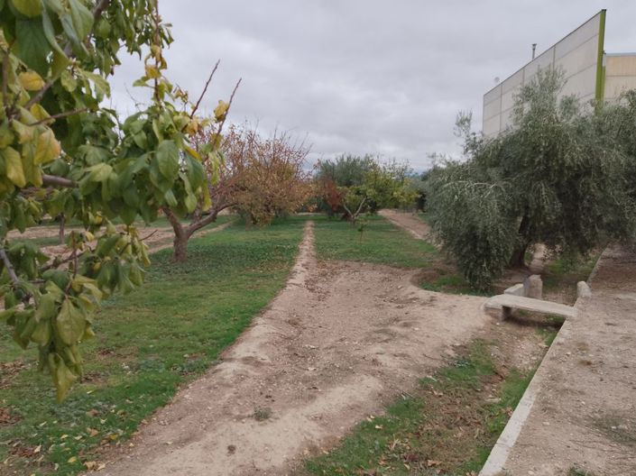 Image No.49-Propriété de 5 chambres à vendre à Baza