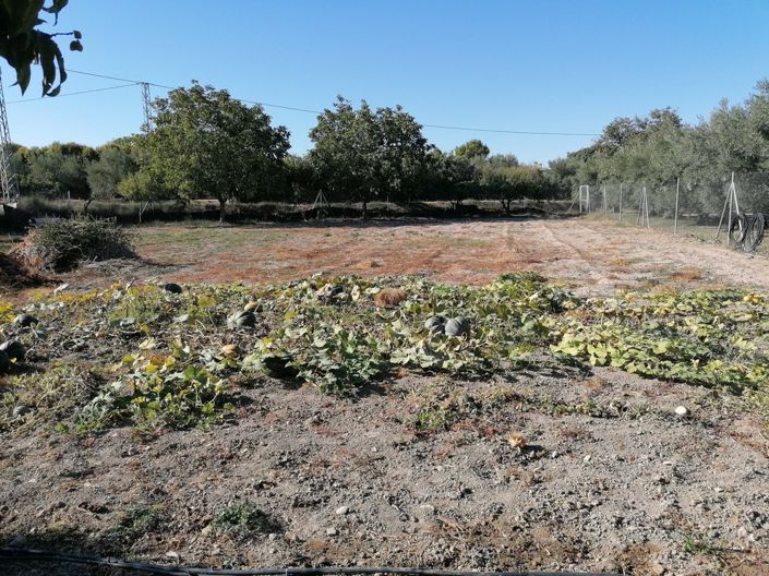 Image No.21-Propriété de 1 chambre à vendre à Baza
