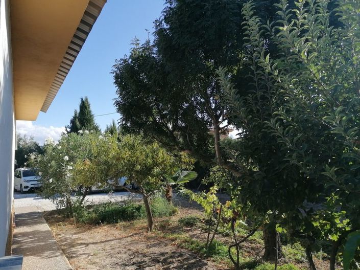 Image No.7-Propriété de 1 chambre à vendre à Baza