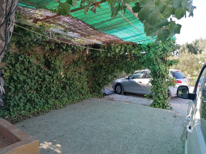 Image No.8-Propriété de 1 chambre à vendre à Baza