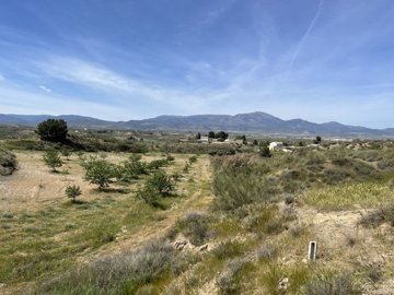 32img5600