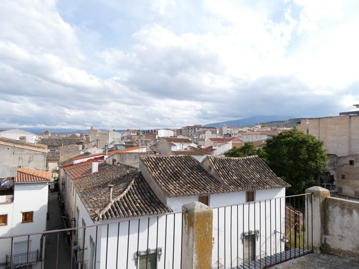 Image No.42-Propriété à vendre à Baza