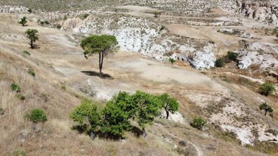 v3163-rusticom-farmhouse-cortijo-baza-granada