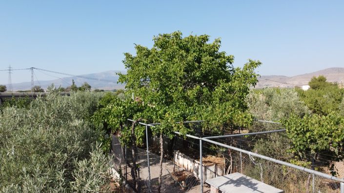 Image No.38-3 Bed Property for sale