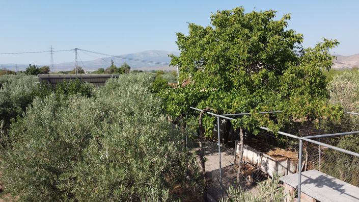 Image No.39-3 Bed Property for sale