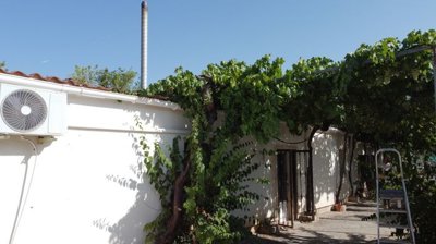 v3177-country-house-baza-006