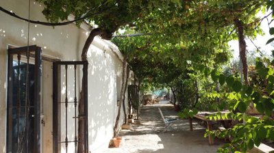 v3177-country-house-baza-009