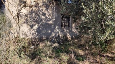thumbnail_IMG_20230204_111215526_HDR