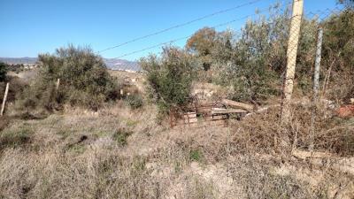 thumbnail_IMG_20230204_111226378_HDR