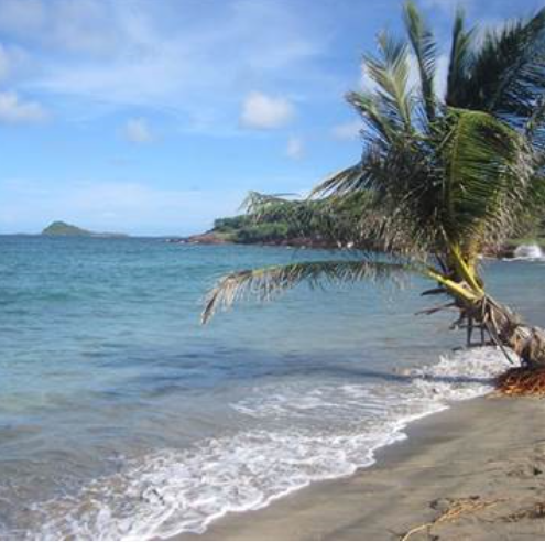 Image No.4-Un hôtel de 8 chambres à vendre à Saint Andrew