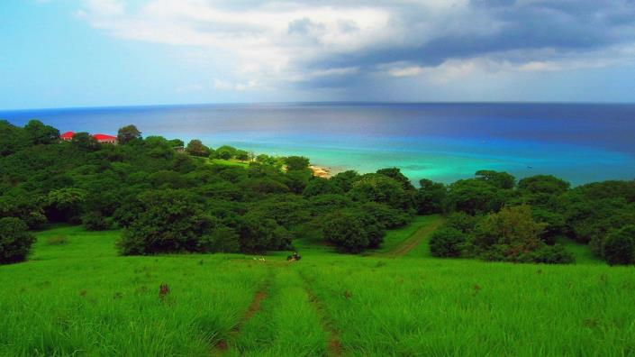 Image No.2-Terre à vendre à Frederiksted